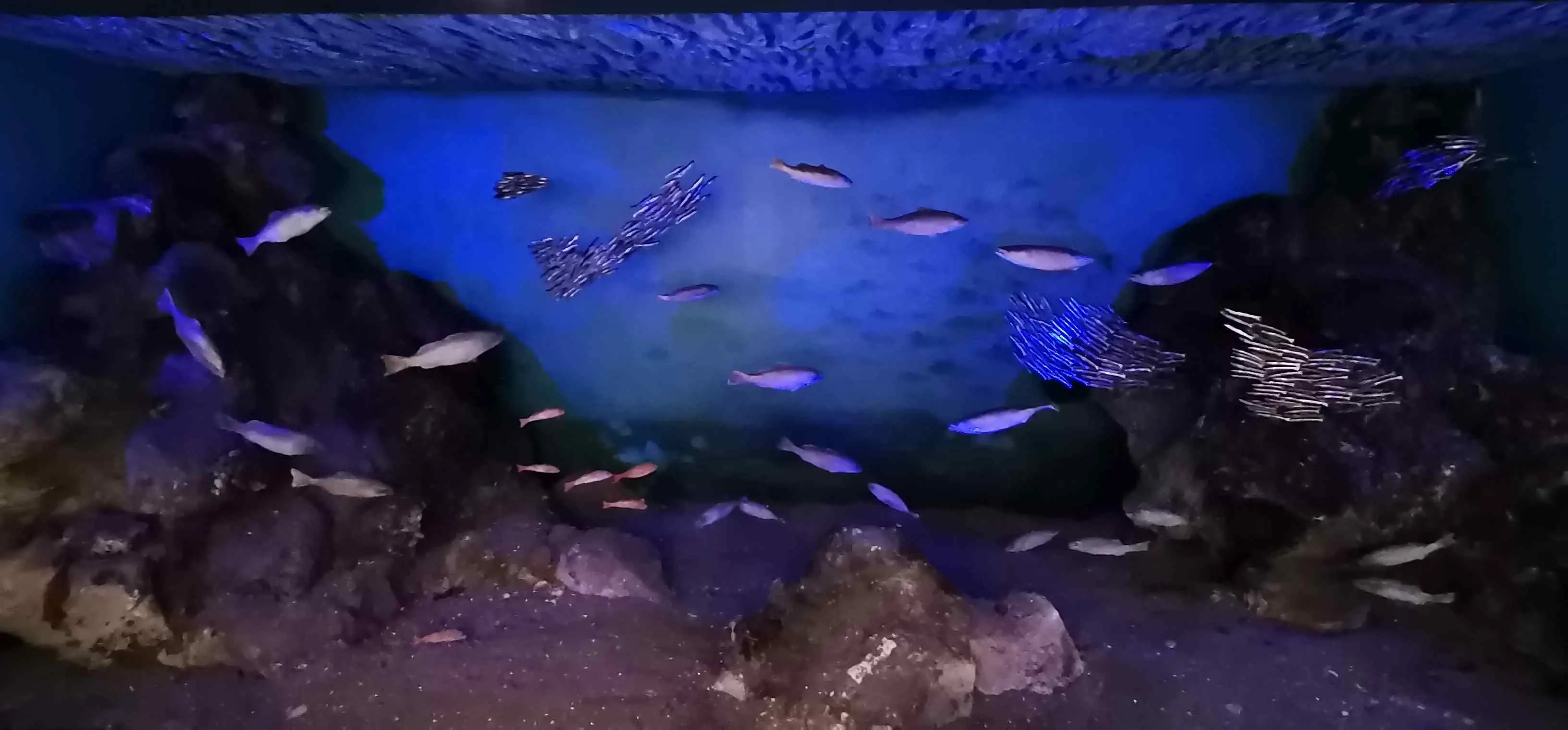 Sehir muzesi (25)
